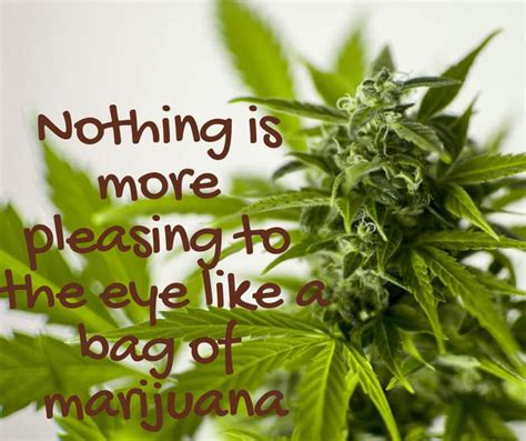 funny quotes and sayings about weed